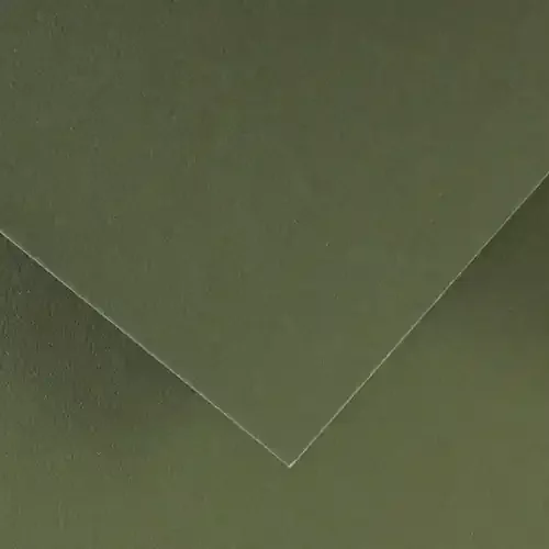 10 Pack – Canson Colorline Sheet 19.5″X25.5″ 10/Pkg-Khaki Green – 5A00367D-1H7GN