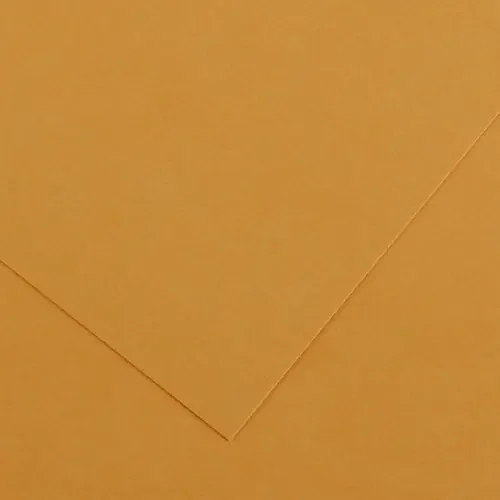 10 Pack – Canson Colorline Sheet 19.5″X25.5″ 10/Pkg-Leather – 5A00367D-1H7BX