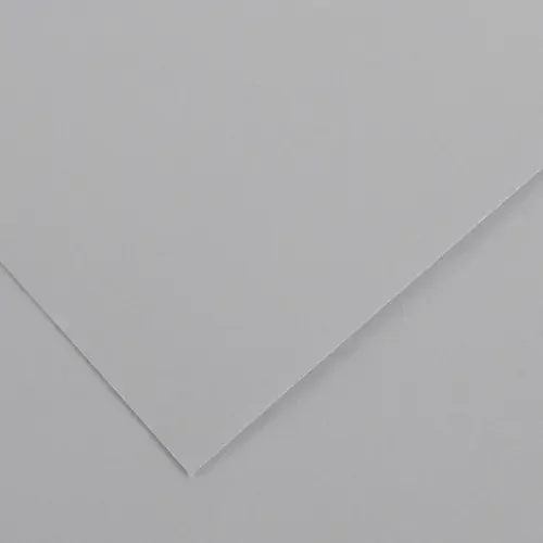 10 Pack – Canson Colorline Sheet 19.5″X25.5″ 10/Pkg-Light Grey – 5A00367D-1H7GC