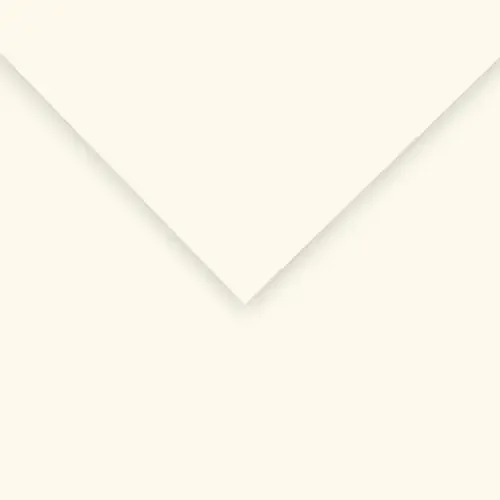10 Pack – Canson Colorline Sheet 19.5″X25.5″ 10/Pkg-Pearl White – 5A00367D-1H7D6