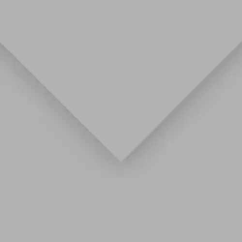 10 Pack – Canson Colorline Sheet 19.5″X25.5″ 10/Pkg-Pebble Grey – 5A00367D-1H7H2