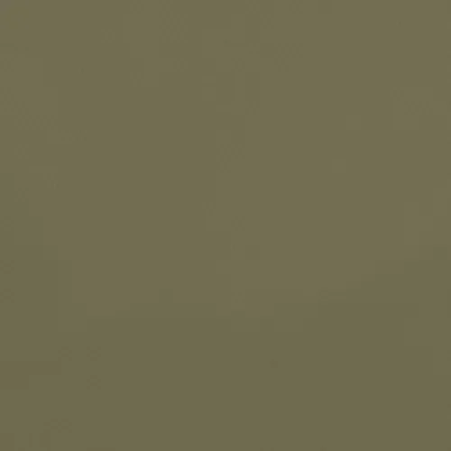 10 Pack – Canson Mi-Teintes Sheet 19.5″X25.5″ 10/Pkg-Olive Green – 5A00366C-1H7B6