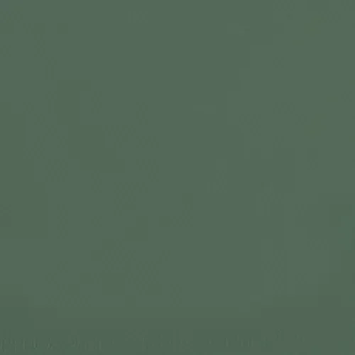 10 Pack – Canson Mi-Teintes Sheet 19.5″X25.5″ 10/Pkg-Sage Green – 5A00366C-1H7H9