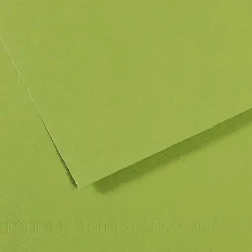 10 Pack – Canson Mi-Teintes Sheet 19″X25″ 10/Pkg-Apple Green – 5A00366F-1H7GH