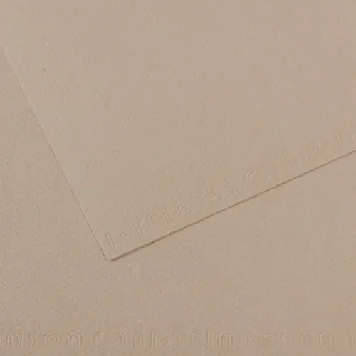 10 Pack – Canson Mi-Teintes Sheet 19″X25″ 10/Pkg-Flannel Gray – 5A00366F-1H7DB