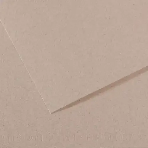 10 Pack – Canson Mi-Teintes Sheet 19″X25″ 10/Pkg-Moonstone – 5A00366F-1H7D3