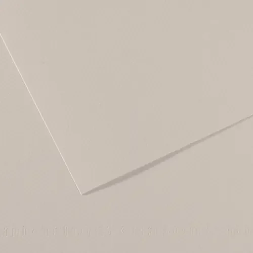 10 Pack – Canson Mi-Teintes Sheet 19″X25″ 10/Pkg-Pearl Gray – 5A00366F-1H7F0