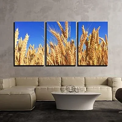 3 Piece Canvas Wall Art – Wheat Field Under Blue Sky – Modern Home Art Stretched and Framed Ready to Hang – 24