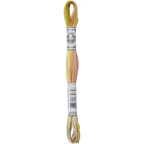 DMC Coloris 6-Strand Embroidery Cotton Floss 8.7yd-Frosted Countryside – 517-4508