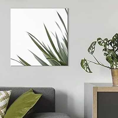 Square Canvas Wall Art – Green Long Thin Leaves Against White Background – Giclee Print Gallery Wrap Modern Home Art Ready to Hang – 24×24 inches