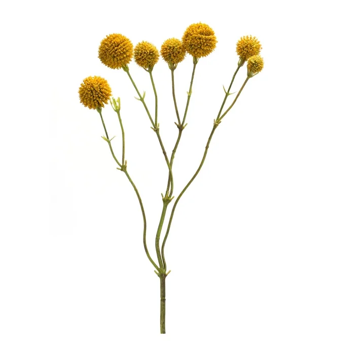 Yellow Pod SprayCosmetics